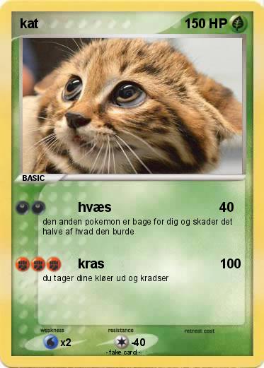 Pokemon kat