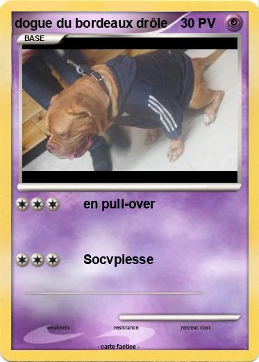Pokemon dogue du bordeaux drôle