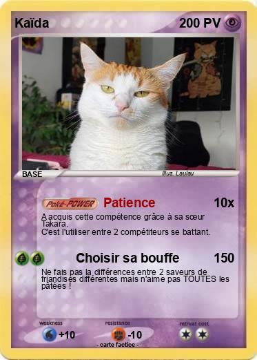 Pokemon Kaïda
