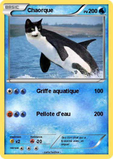 Pokemon Chaorque