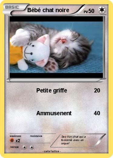 Pokemon Bébé chat noire