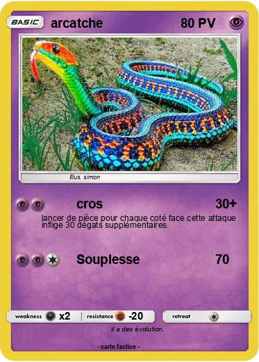 Pokemon arcatche