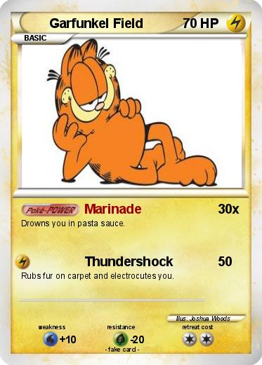 Pokemon Garfunkel Field