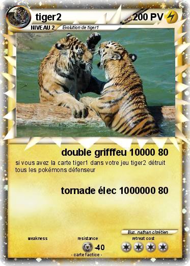 Pokemon tiger2