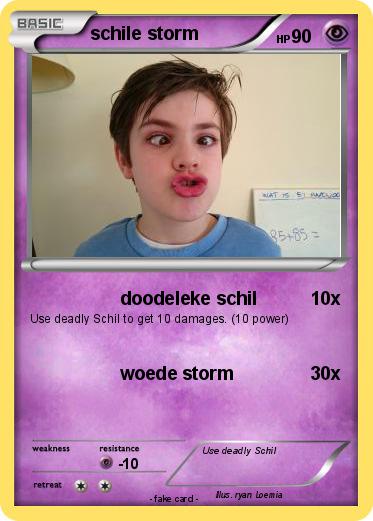 Pokemon schile storm