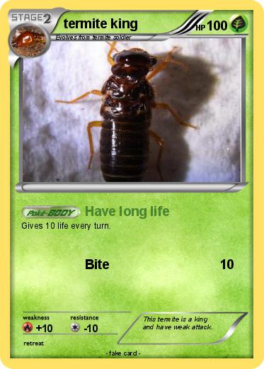 Pokemon termite king