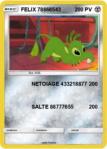Pokemon FELIX 78666543