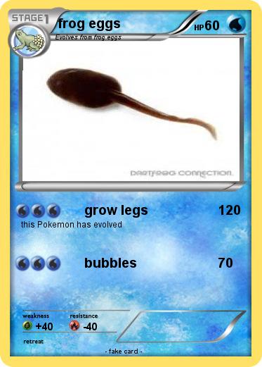 Pokemon frog eggs