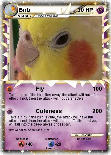 Pokemon Birb