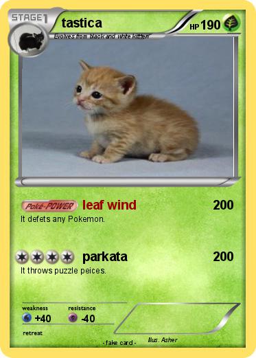 Pokemon tastica
