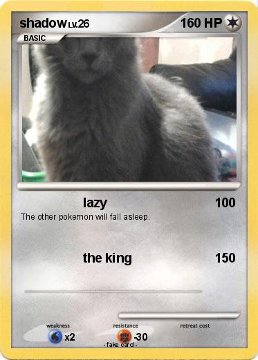 Pokemon shadow