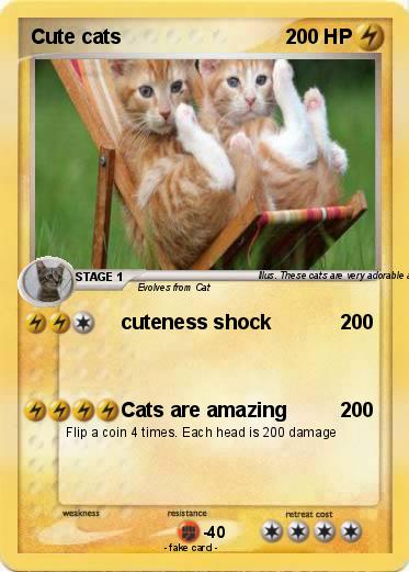 Pokemon Cute cats