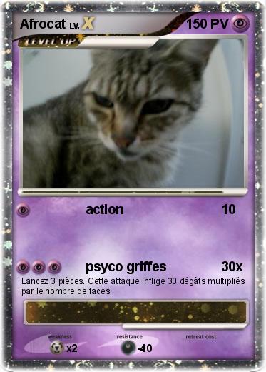 Pokemon Afrocat