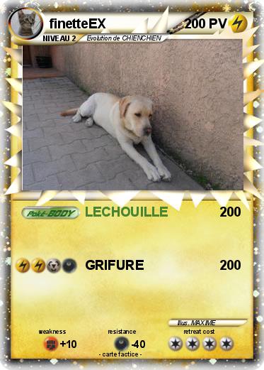 Pokemon finetteEX
