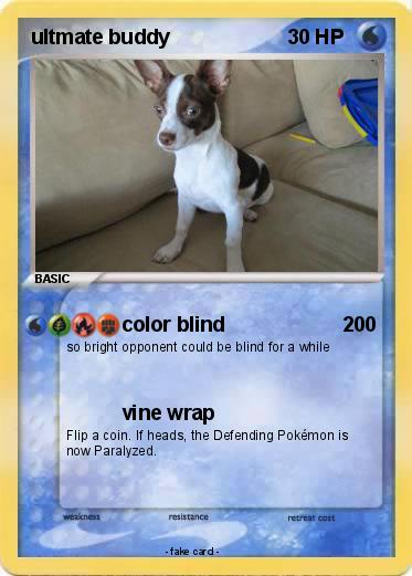 Pokemon ultmate buddy