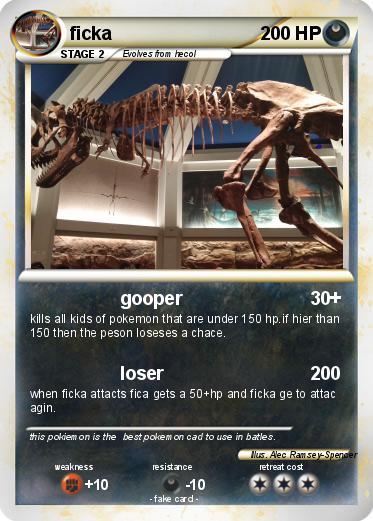 Pokemon ficka