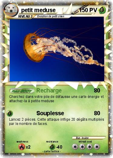 Pokemon petit meduse