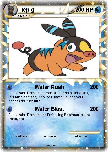 Pokemon Tepig