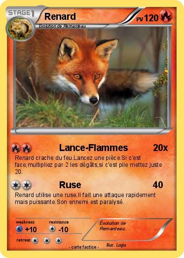 Pokemon Renard