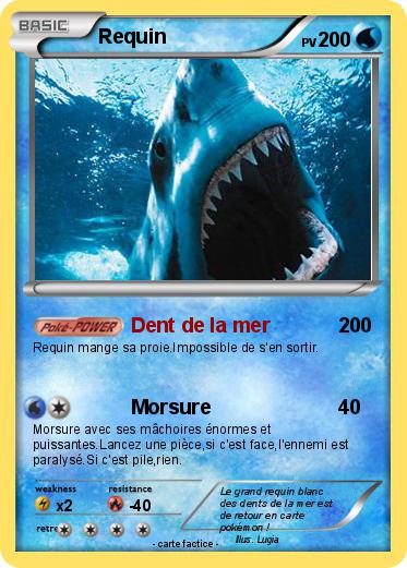 Pokemon Requin