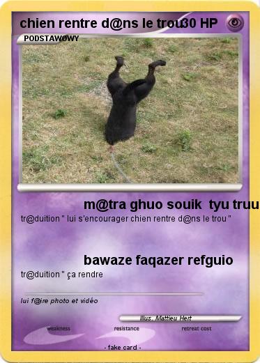 Pokemon chien rentre d@ns le trou