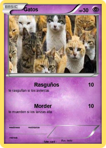 Pokemon Gatos