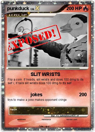 Pokemon punkduck