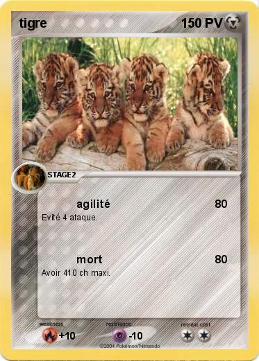 Pokemon tigre