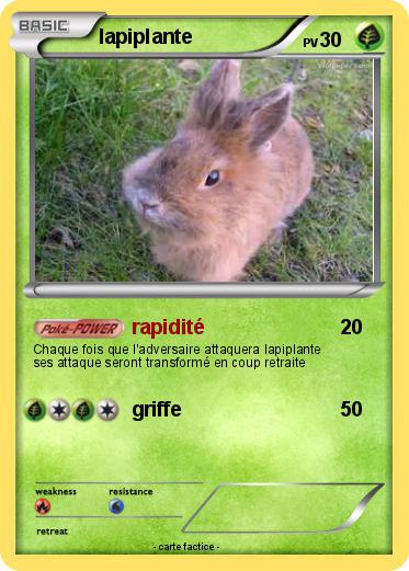 Pokemon lapiplante