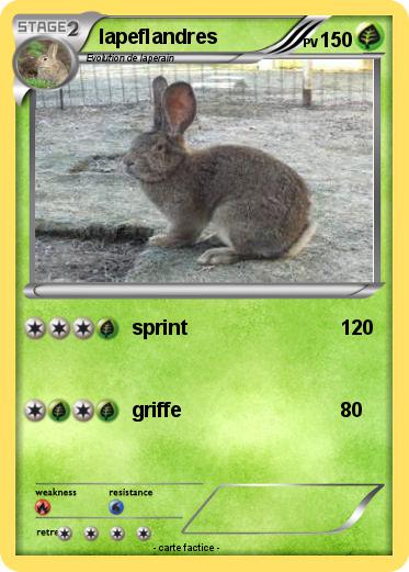 Pokemon lapeflandres