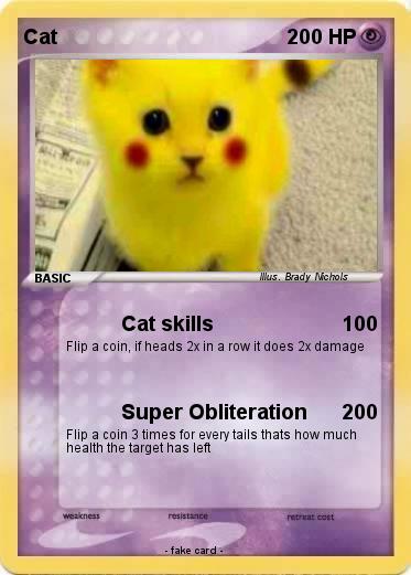 Pokemon Cat