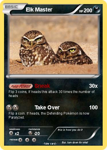 Pokemon Elk Master
