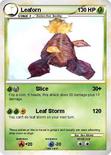 Pokemon Leaforn