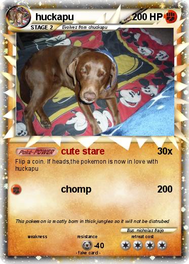 Pokemon huckapu