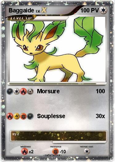 Pokemon Baggaide