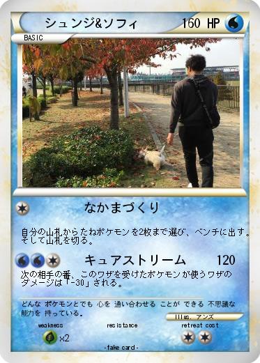 Pokemon シュンジ&ソフィ