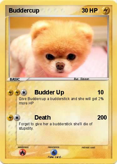 Pokemon Buddercup