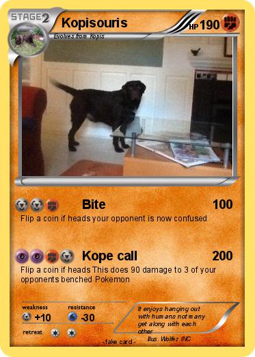 Pokemon Kopisouris