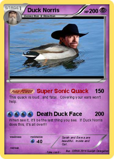 Pokemon Duck Norris