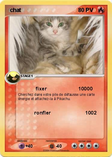 Pokemon  chat