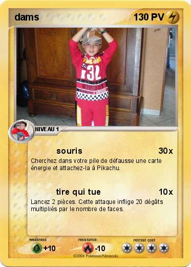 Pokemon dams