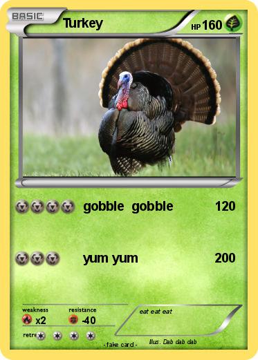 Pokemon Turkey                                                        EX