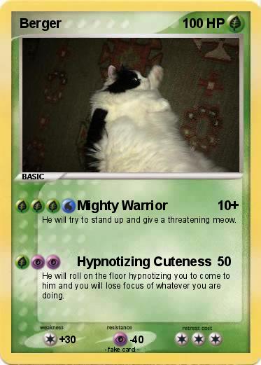 Pokemon Berger