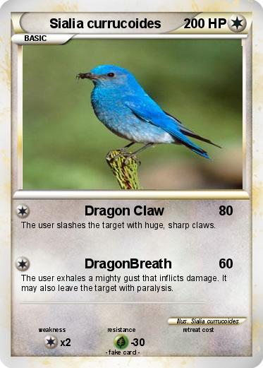 Pokemon Sialia currucoides