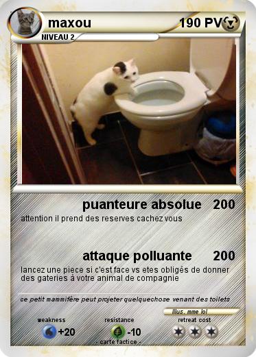 Pokemon maxou