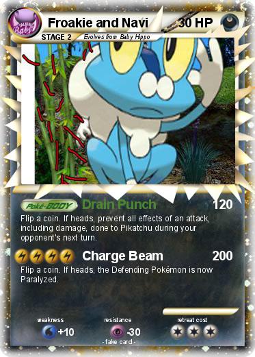 Pokemon Froakie and Navi