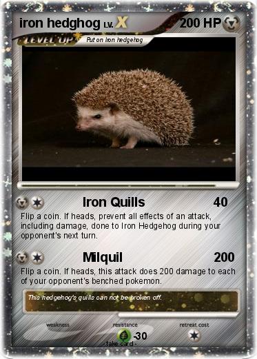 Pokemon iron hedghog