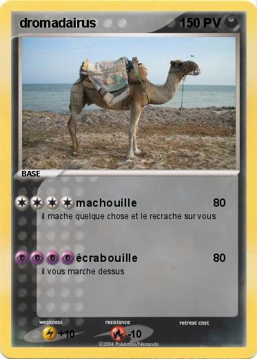 Pokemon dromadairus