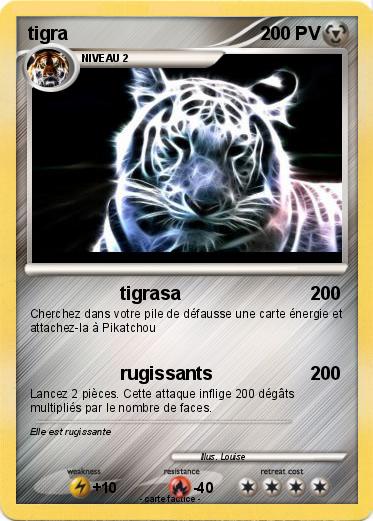 Pokemon tigra