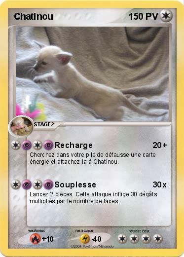 Pokemon Chatinou